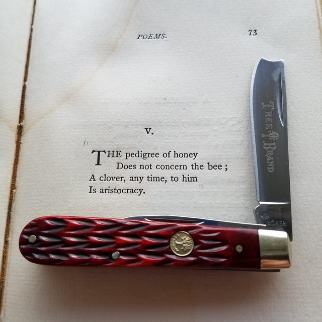 sUhS8D5l.jpg