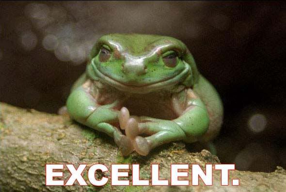 excellent_001.jpg