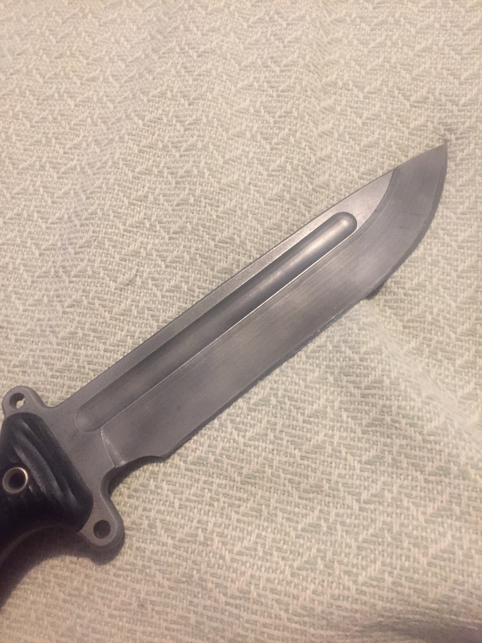 QGGv8mM.jpg