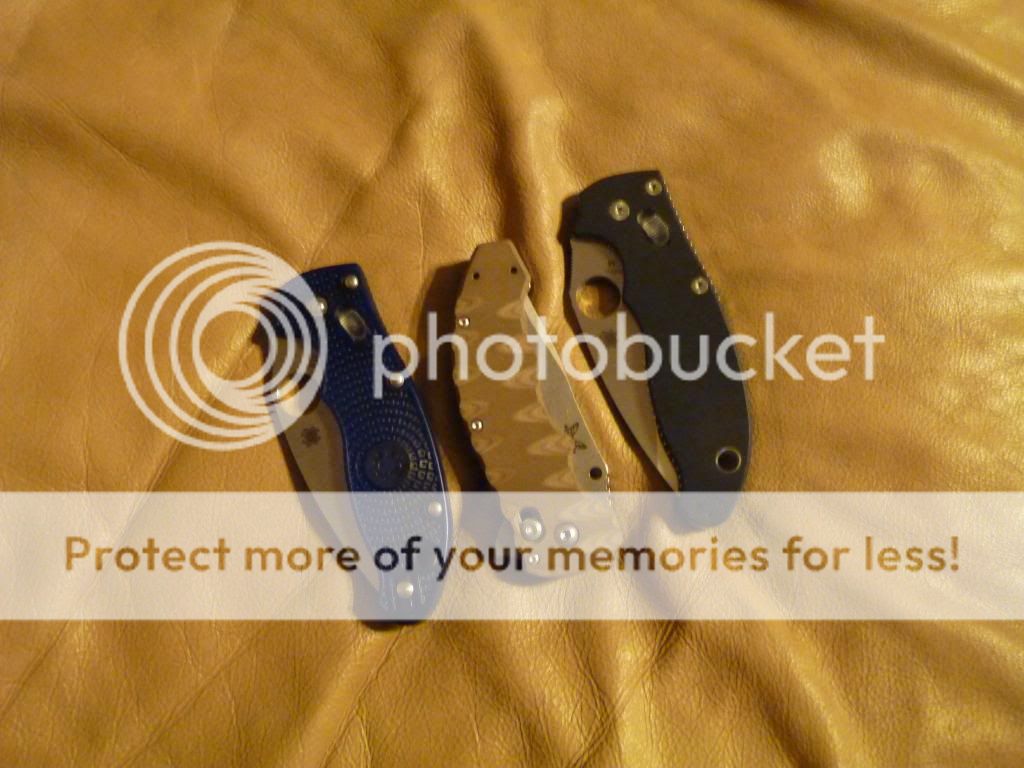 P1080676_zpsbe55df7b.jpg