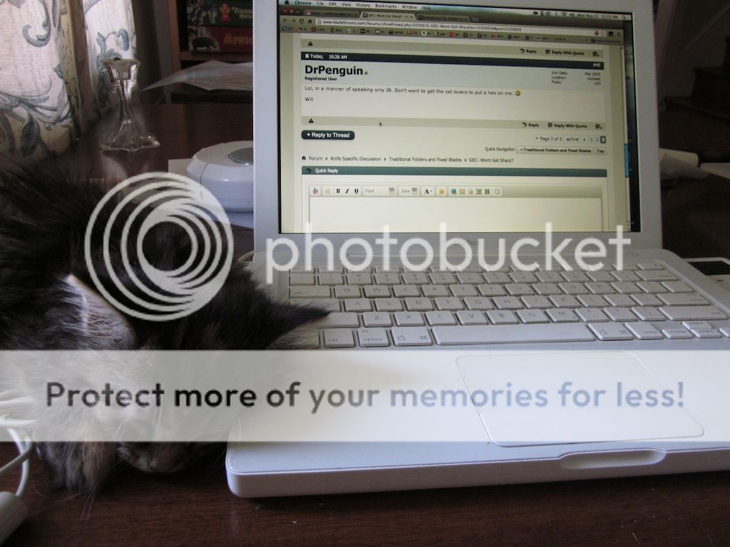 IMG_0054.jpg~original