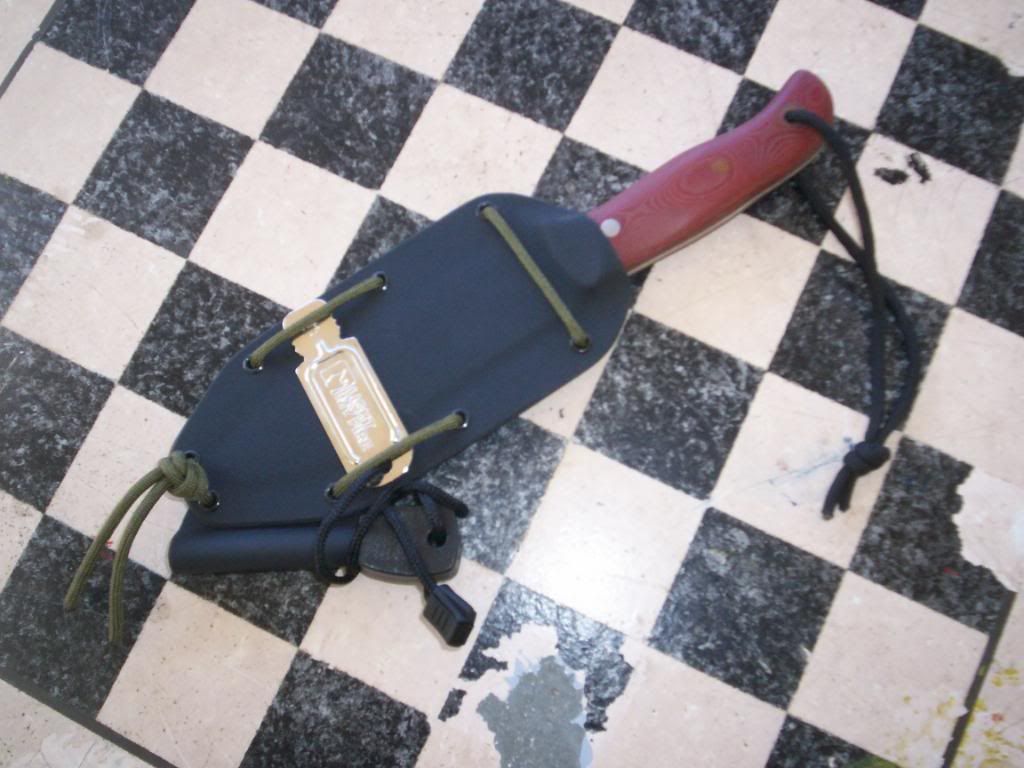 Fiddleback010.jpg