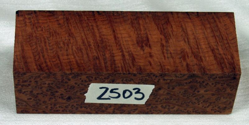 2503a.jpg