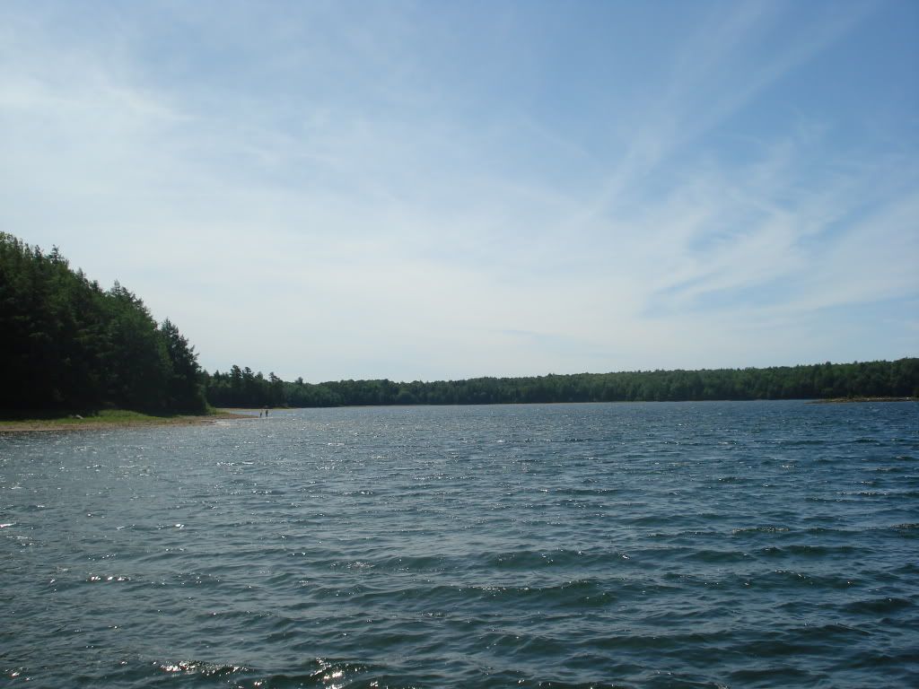 DSC03462.jpg