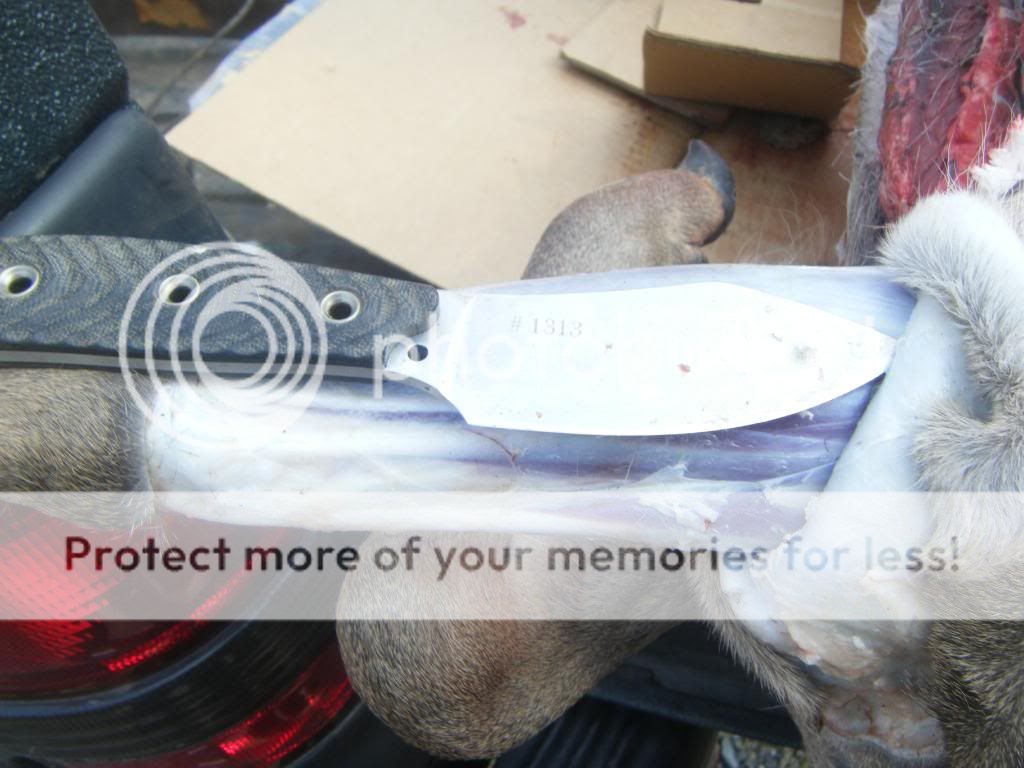 DSCF1332.jpg