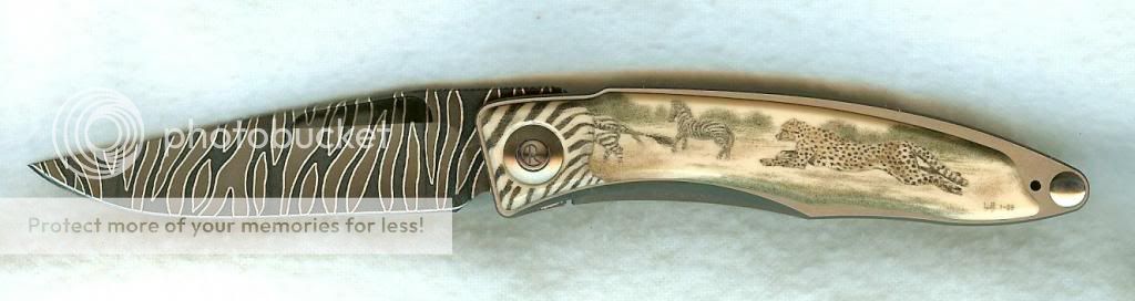 Mnandi_Cheetah2_scrimshaw_1_zpseffba84e.jpg