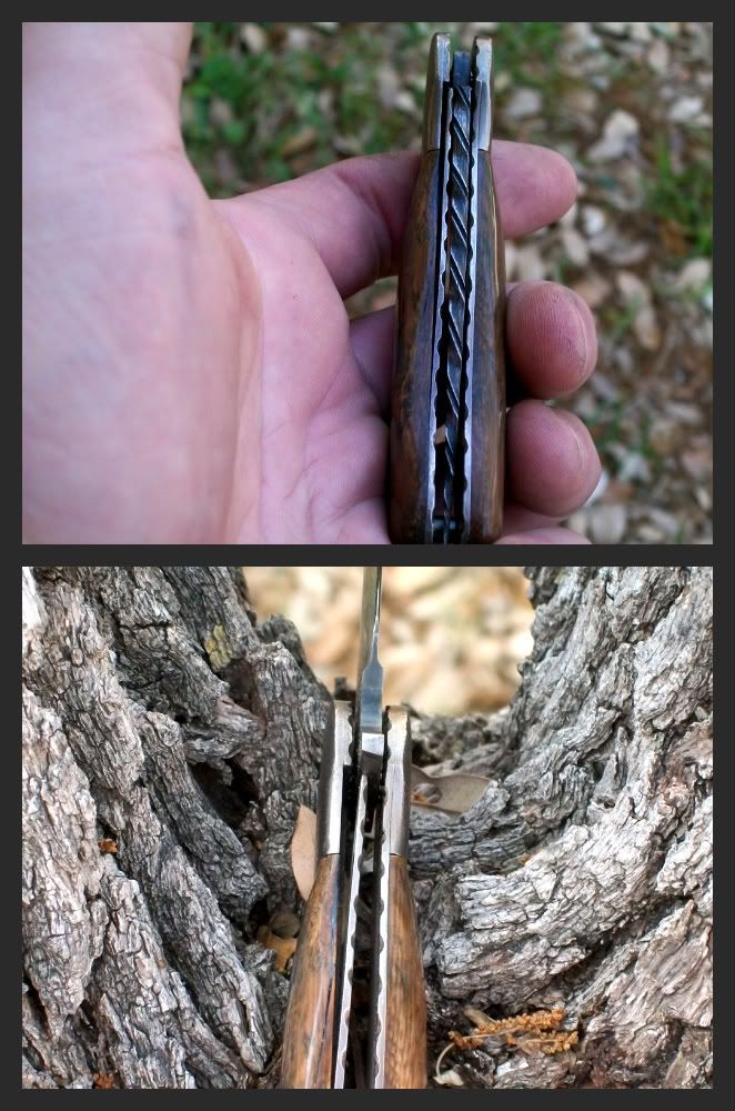 damflipper030-1-1.jpg