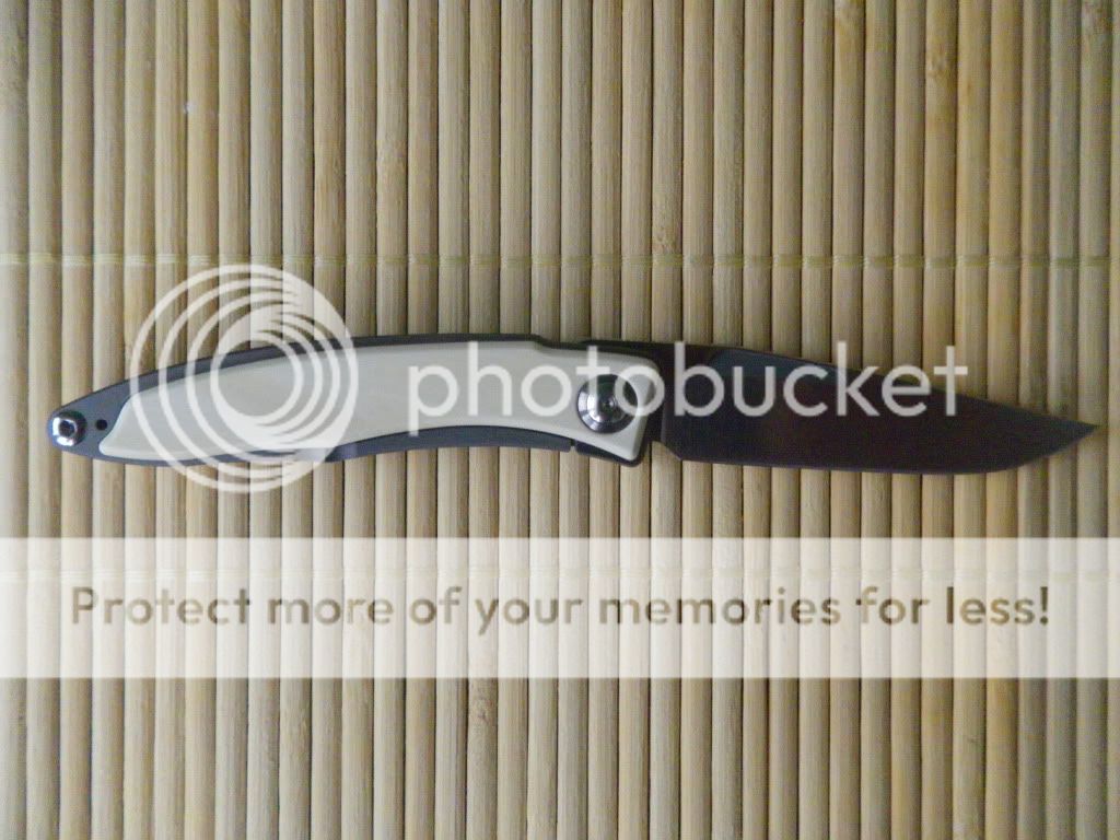 IMGP0605.jpg