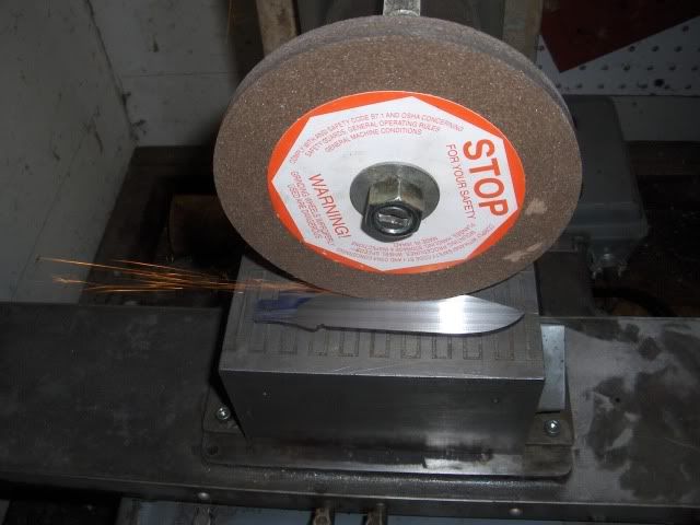 HPIM4331.jpg