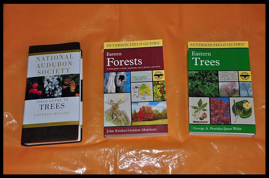 tree_guide_books_zpsfb51d128.jpg