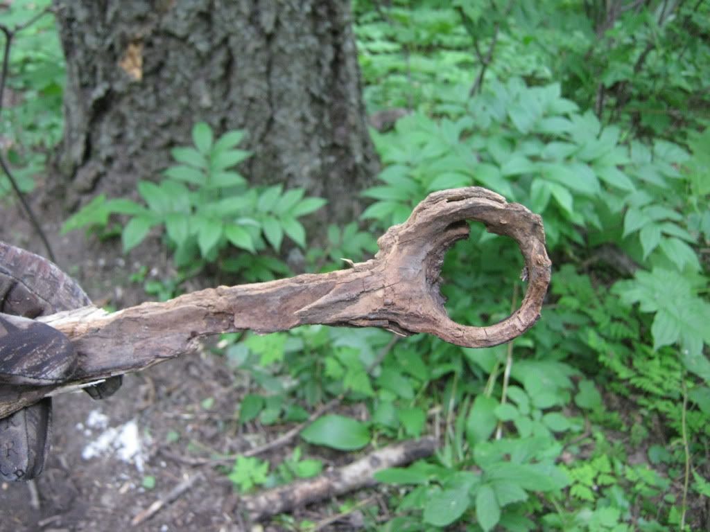July032010081.jpg