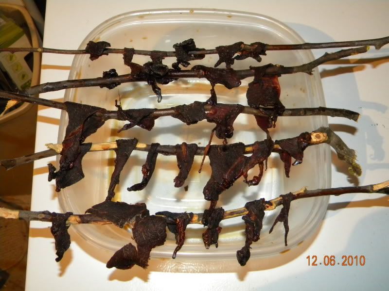 DSCN3150.jpg