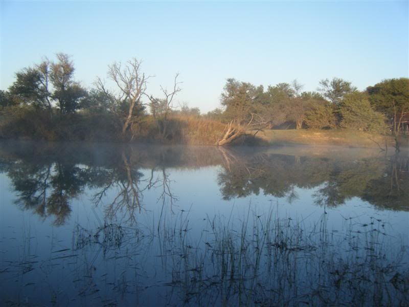 DSCF2411Medium.jpg