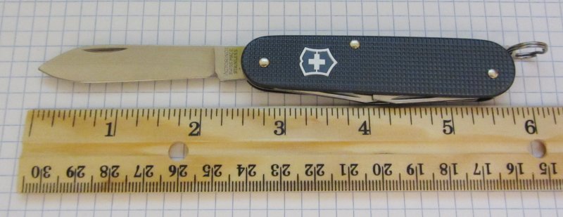 SAK_Cadet_Length_800x309.jpg