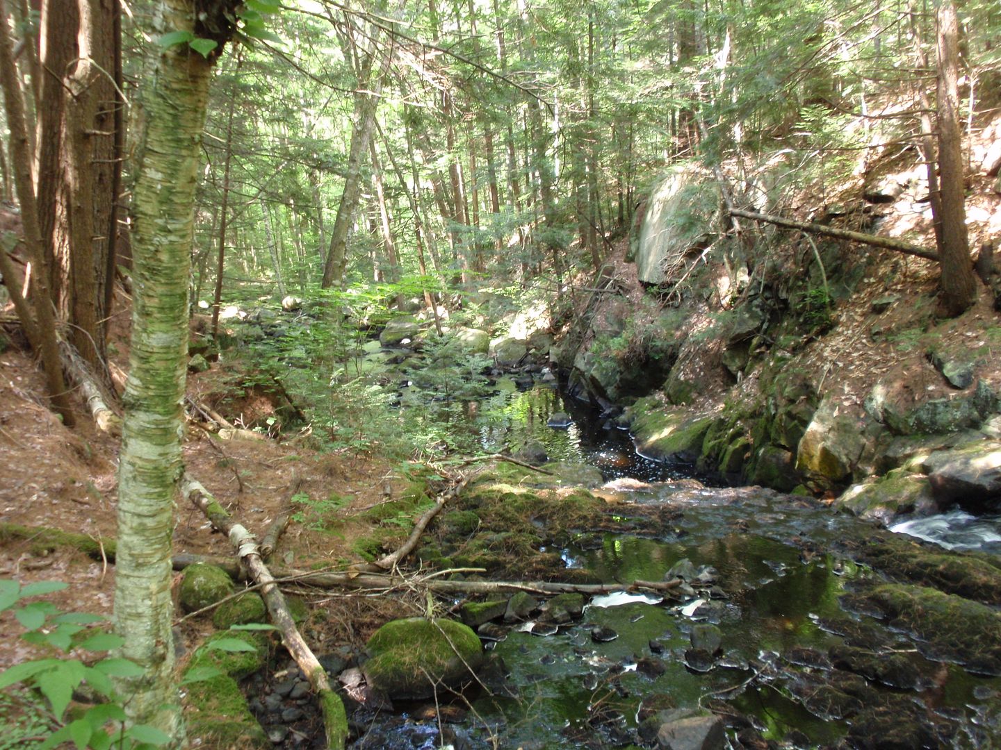 P7150196.jpg