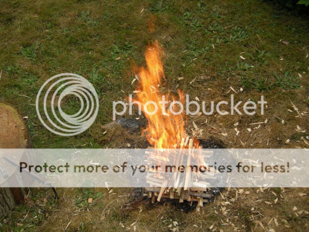 FireContest100.jpg