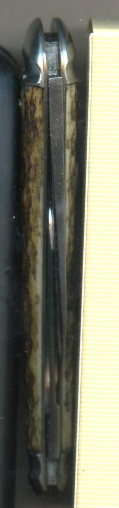 taperedbackspringonWesterBros697.jpg