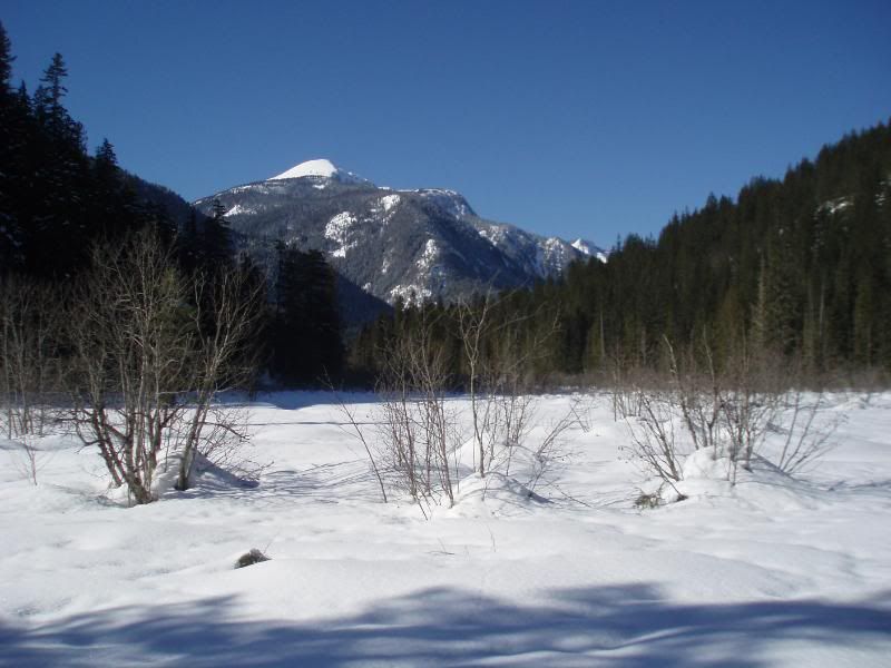 begbiewalk001.jpg