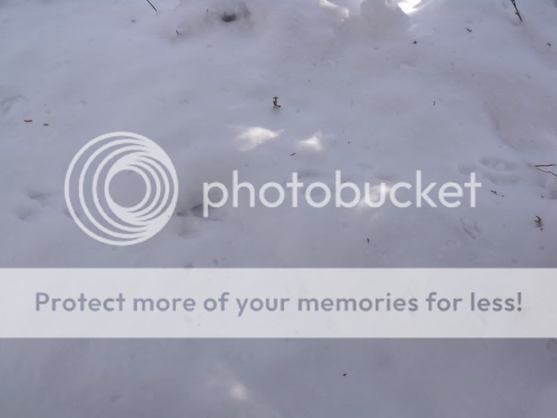 snowshoeslateDecember2016.jpg
