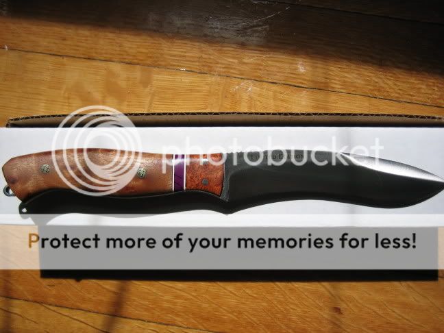 BRKTSlither004.jpg