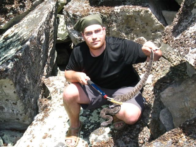 rattlesnakecatrock019.jpg