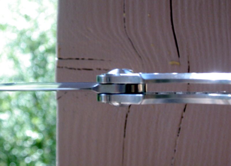 DSCN6951.jpg