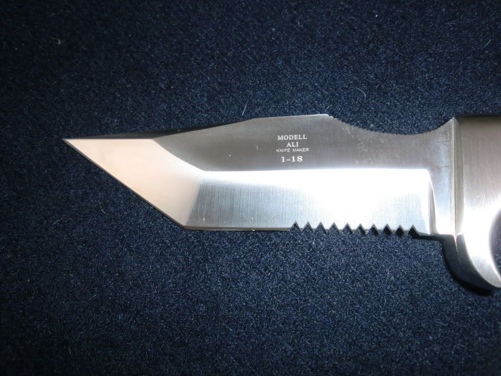 CIMG0027.jpg