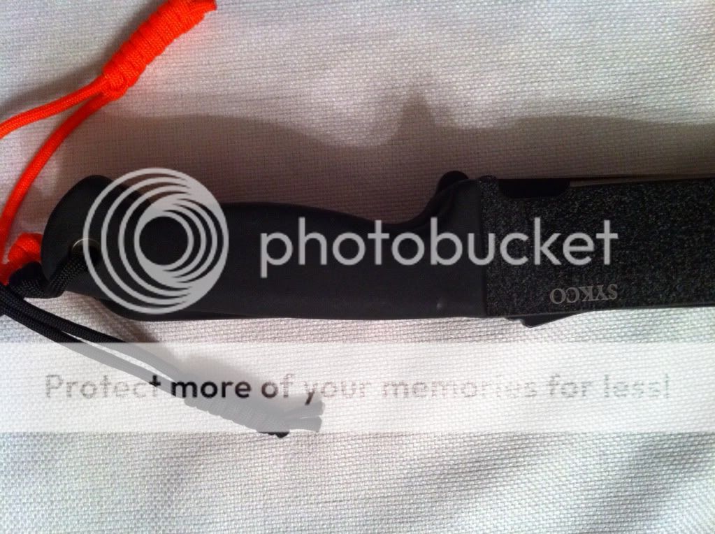 image-50.jpg