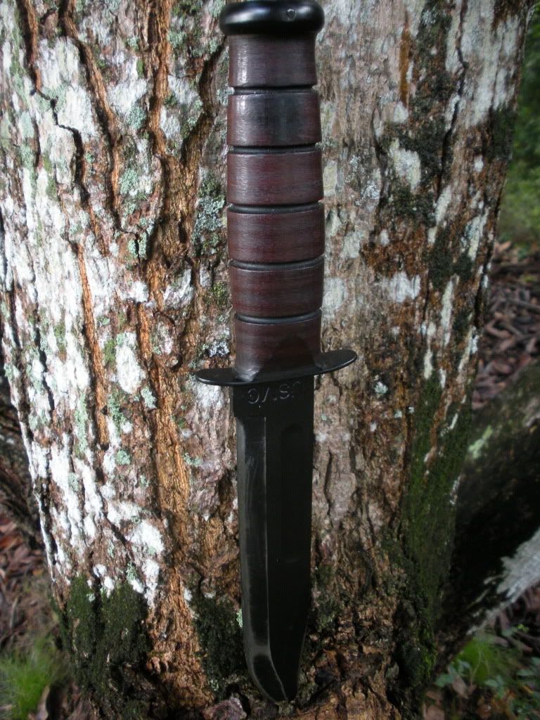 DSCN0815.jpg