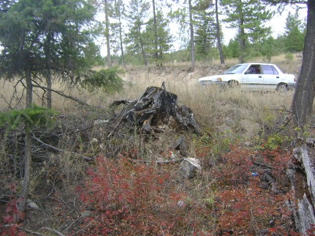 DSC06068.jpg