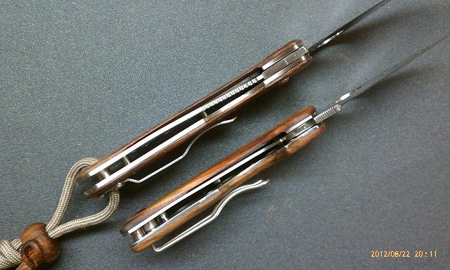 SpydercoCoco.jpg