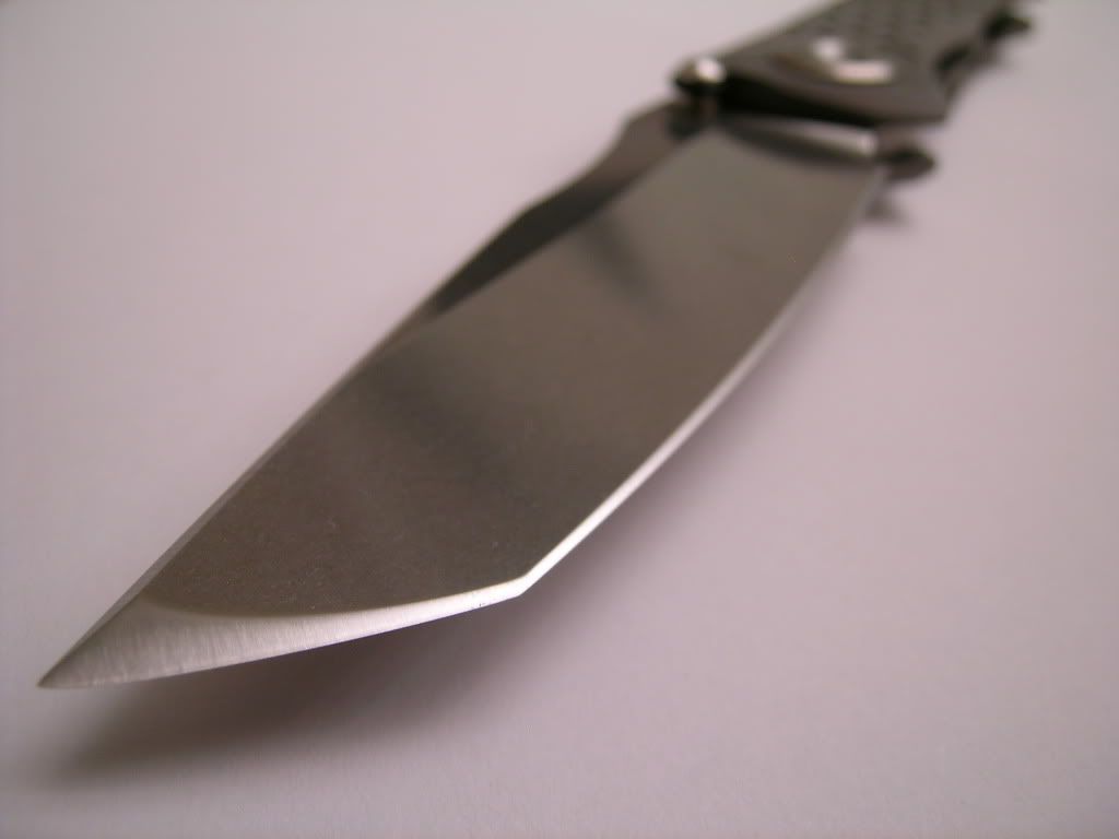DSCN3151.jpg