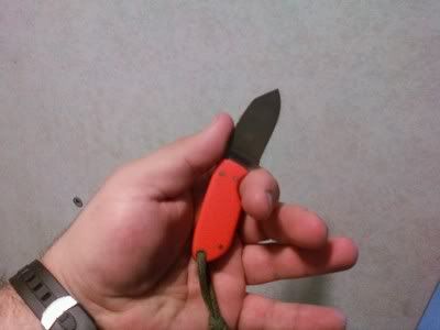 inhand4.jpg