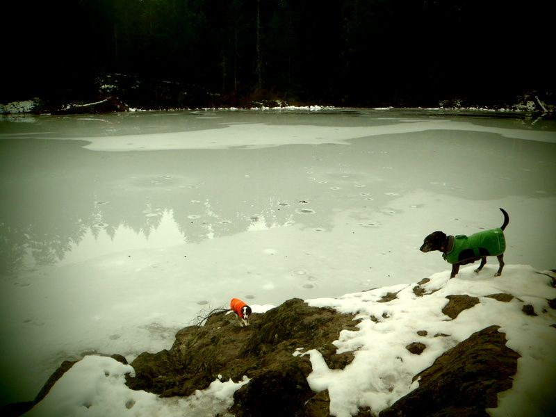 SpectacleLake2013007_zps2fae7c33.jpg