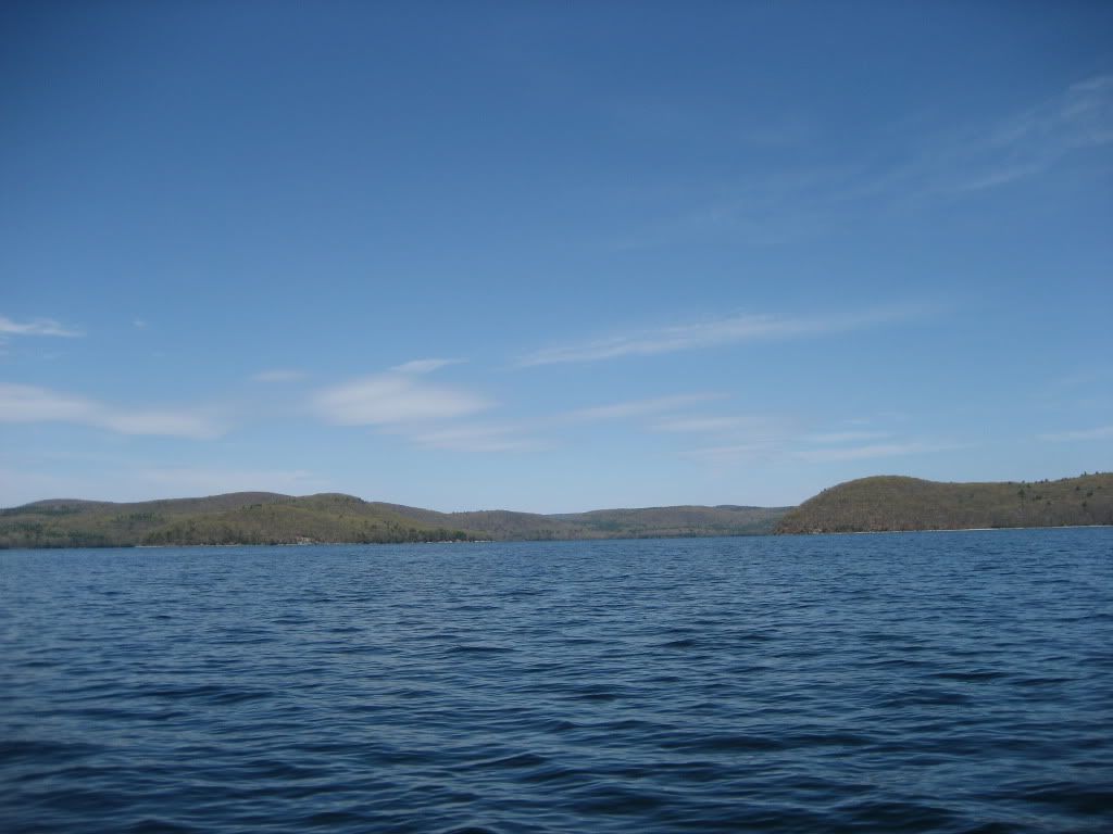 IMG_8202.jpg