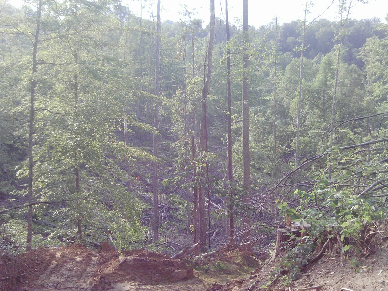 IMAG0079.JPG