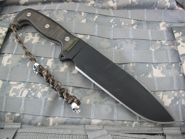 Busse_SHSHII_003.jpg