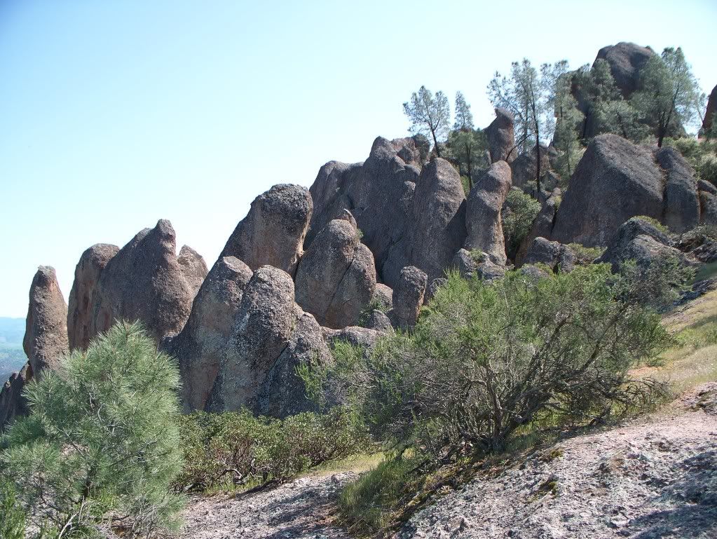 Pinnacles2010045.jpg