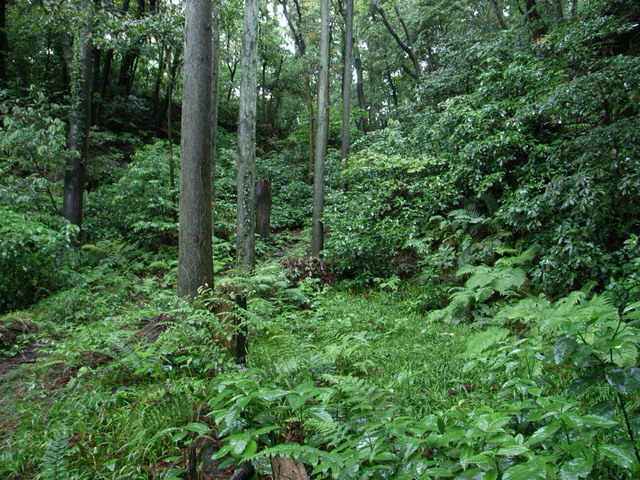 2011.05.30.R0024005.JPG