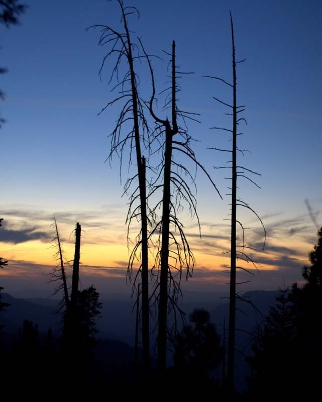 sunset.jpg