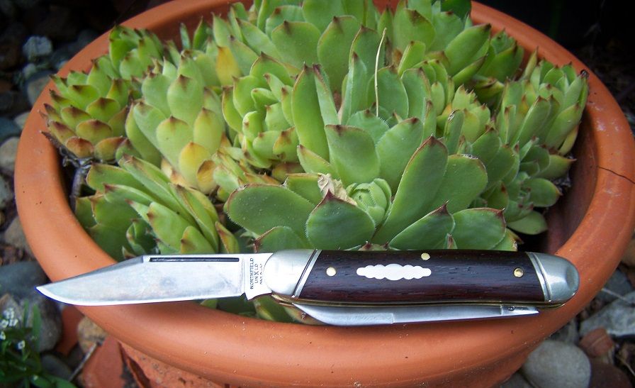 GEC66_Moose_coco_04.jpg