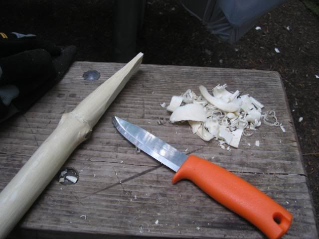 Picture060.jpg
