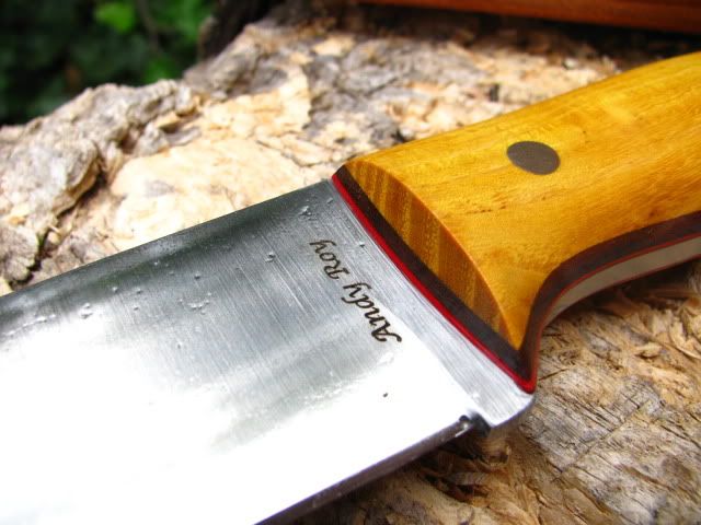 Fiddleback033.jpg