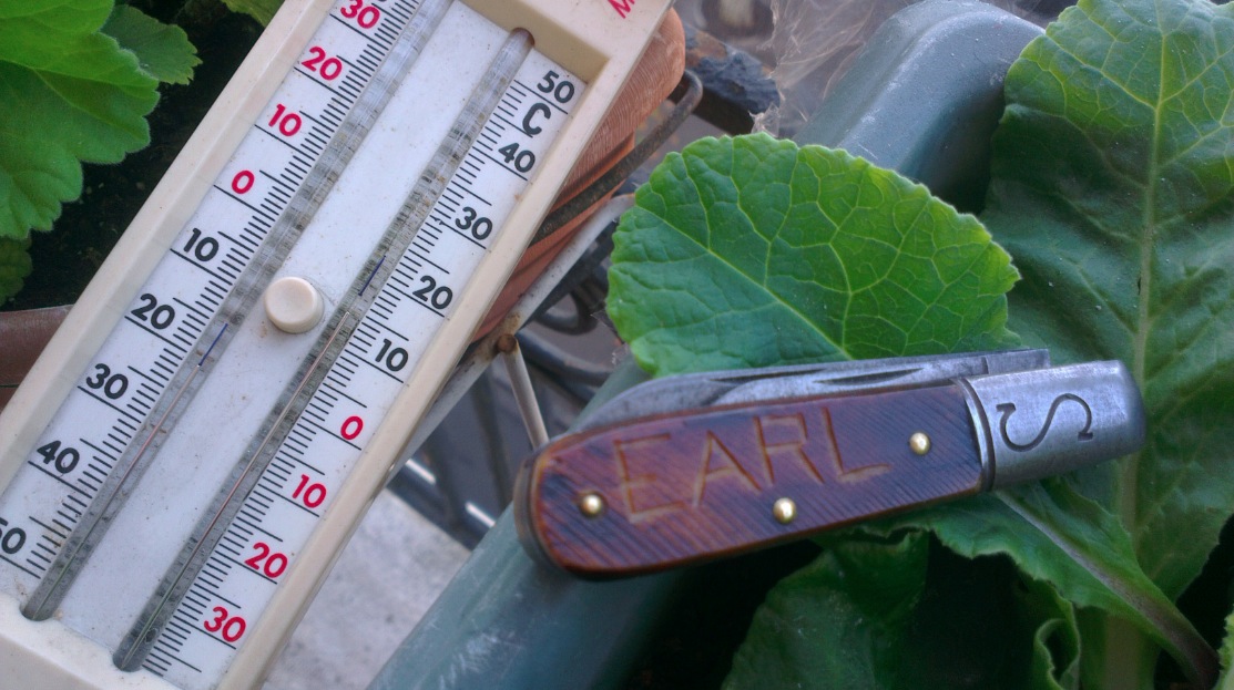 temperature.jpg