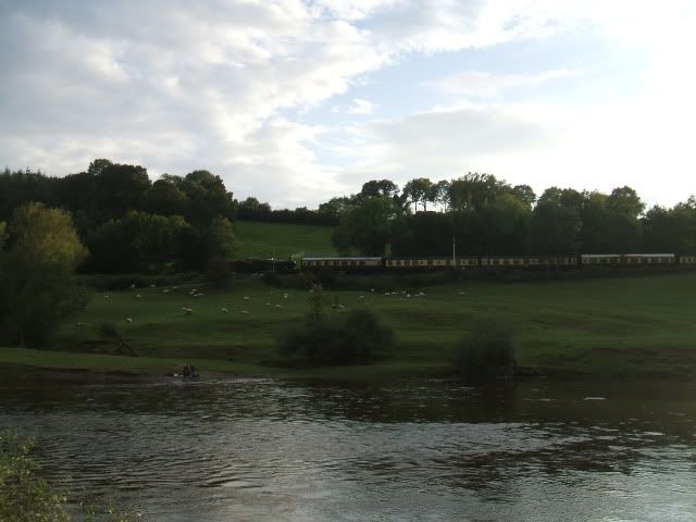 arleywildedible014.jpg