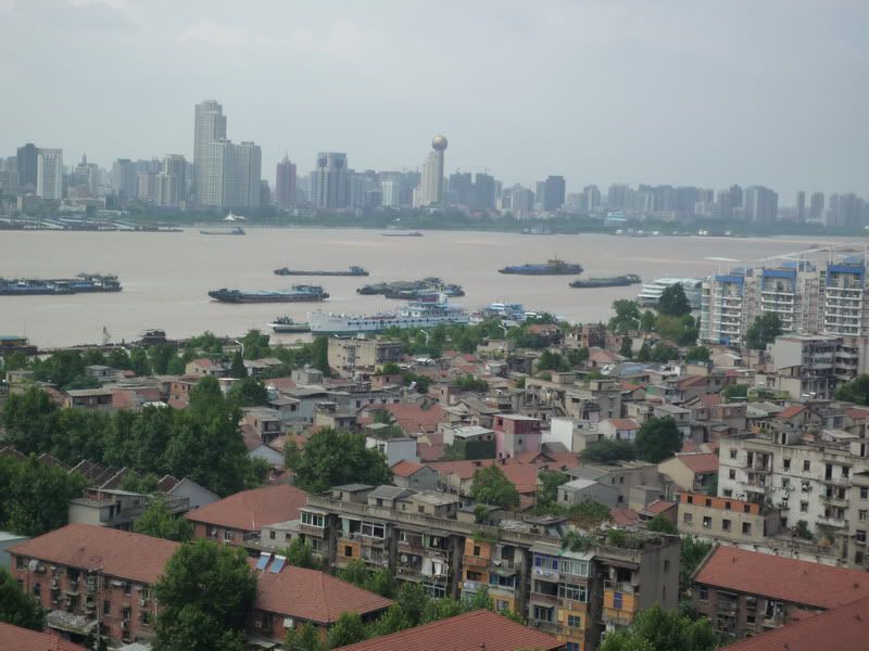 P1000809.jpg