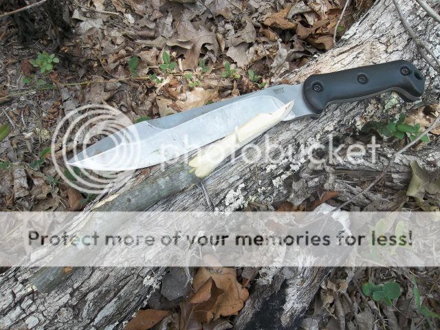 100_3546.jpg