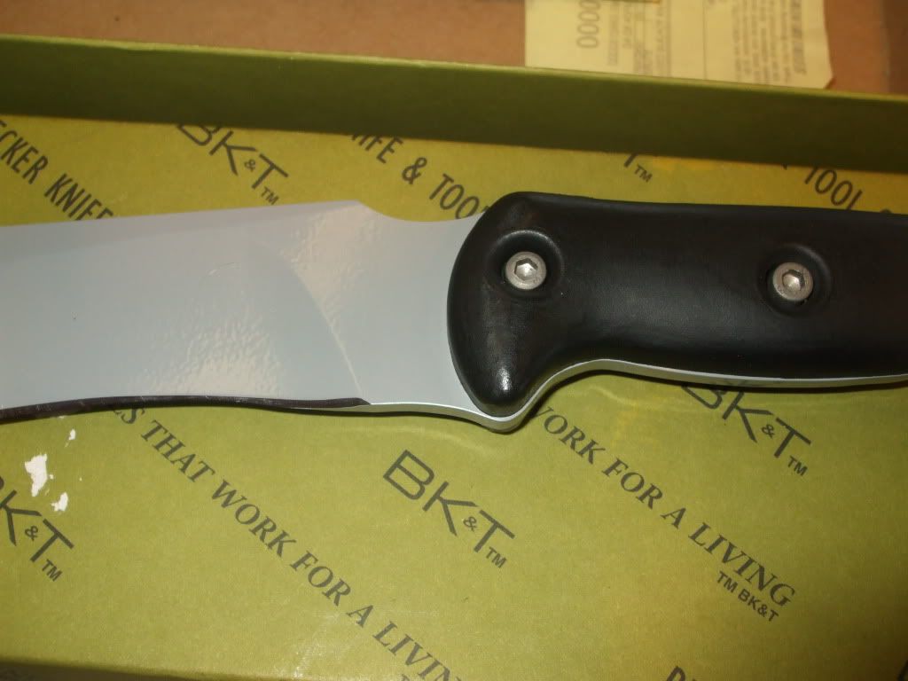 bladesandbrute023.jpg