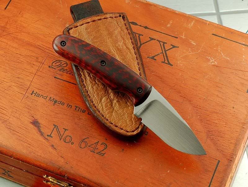 asnakewoodsportster2.jpg