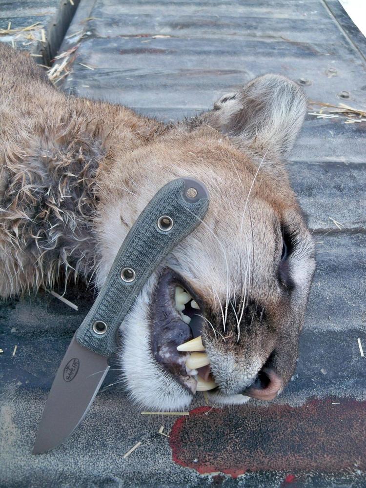 e9Kc3Kt.jpg